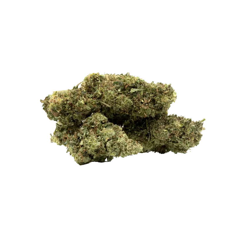 infusion-fleurs-cbd-amnesia-hct.webp