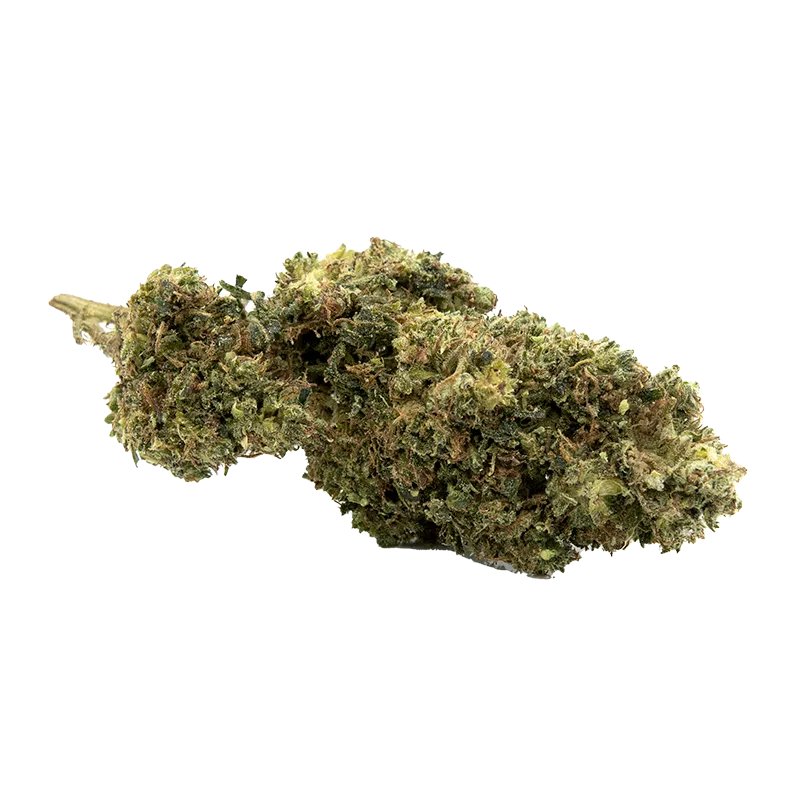 infusion-fleurs-cbd-amnesia-hct (2).webp