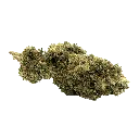 infusion-fleurs-cbd-amnesia-hct (2).webp