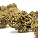 BLUEBERRY_CAVIAR_THX_V1_CBD_004-768x768.webp