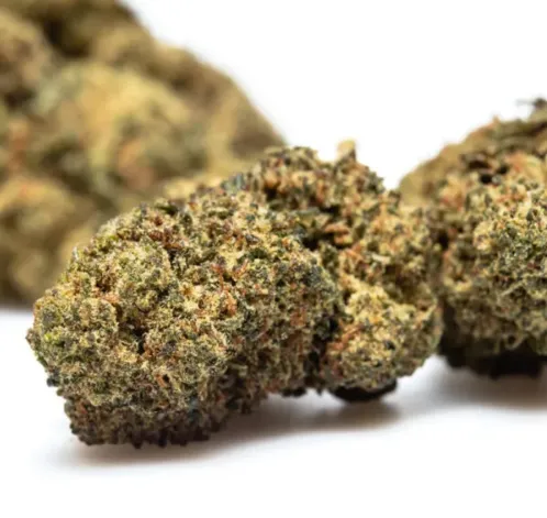 Capture d’écran 2026-04-23 101814.webp