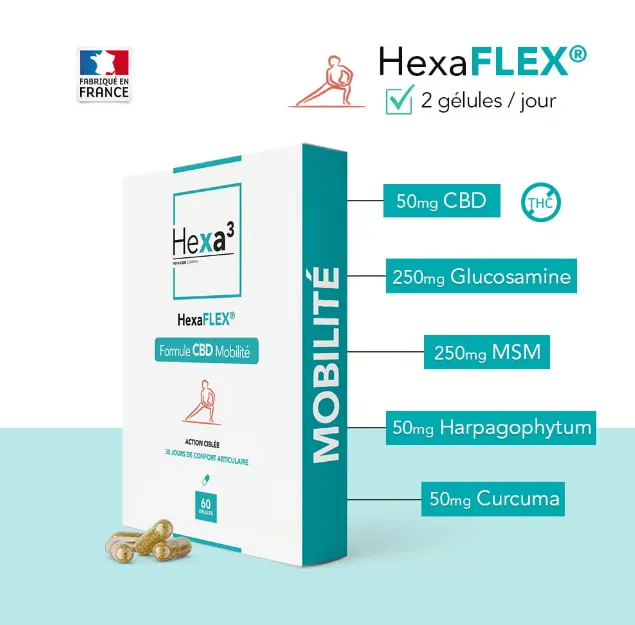 Capture d’écran 2026-04-23 155257.webp