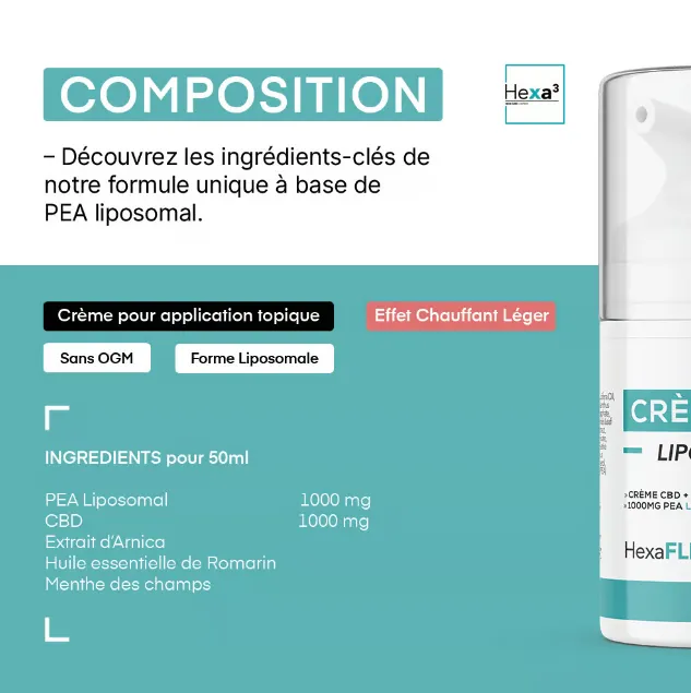 Capture d’écran 2026-04-23 162528.webp