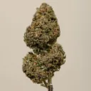 Sapphir Kush