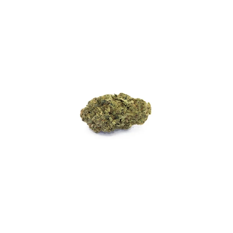 Blueberry Muffin
