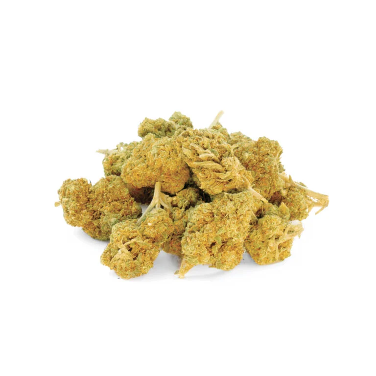 Small Bud Lemon Cherry