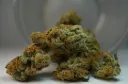 Mango Kush