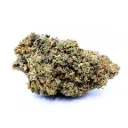 Bubba Kush NL1 20%