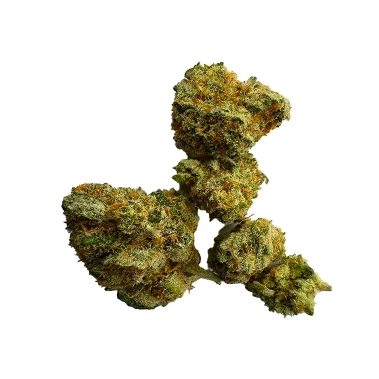 Small Bud Lemon Cookie