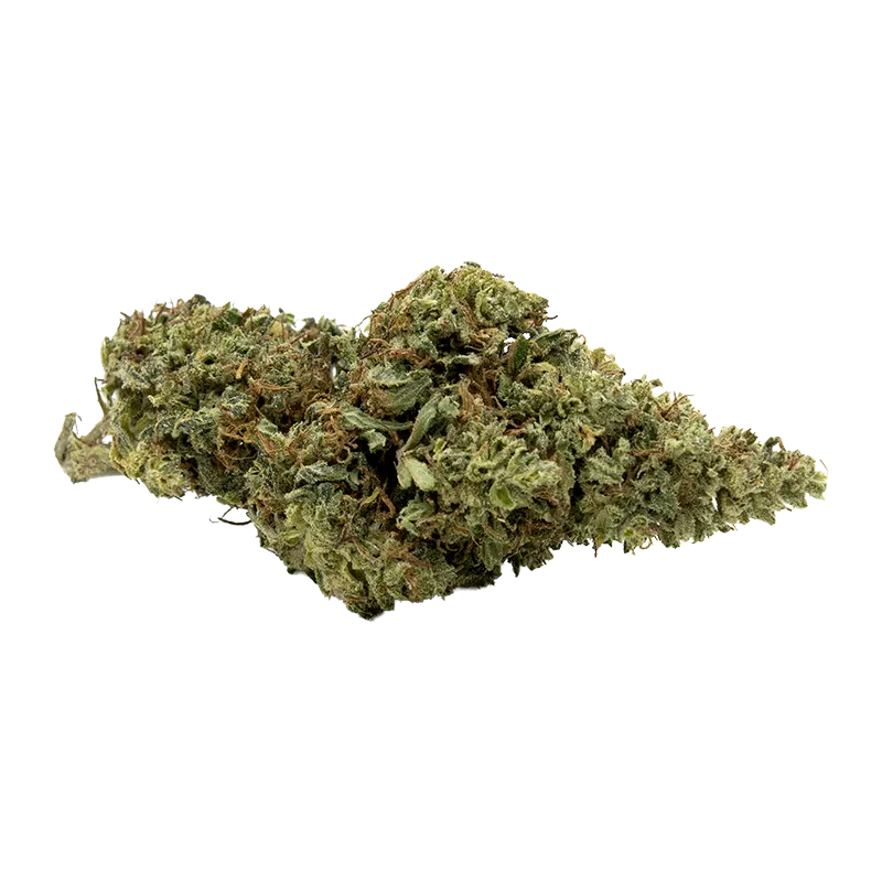 Amnesia HCT 10%
