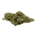 Amnesia HCT 10%