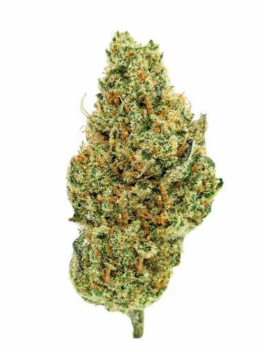 Gelato CBDX 5%